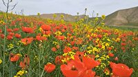 منطقه گردشگری خالد نبی، سفری به عمق تاریخ