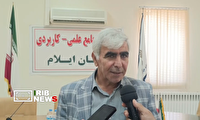 تجلیل از ۱۳ مدرس نمونه دانشگاه علمی‌کاربردی ایلام