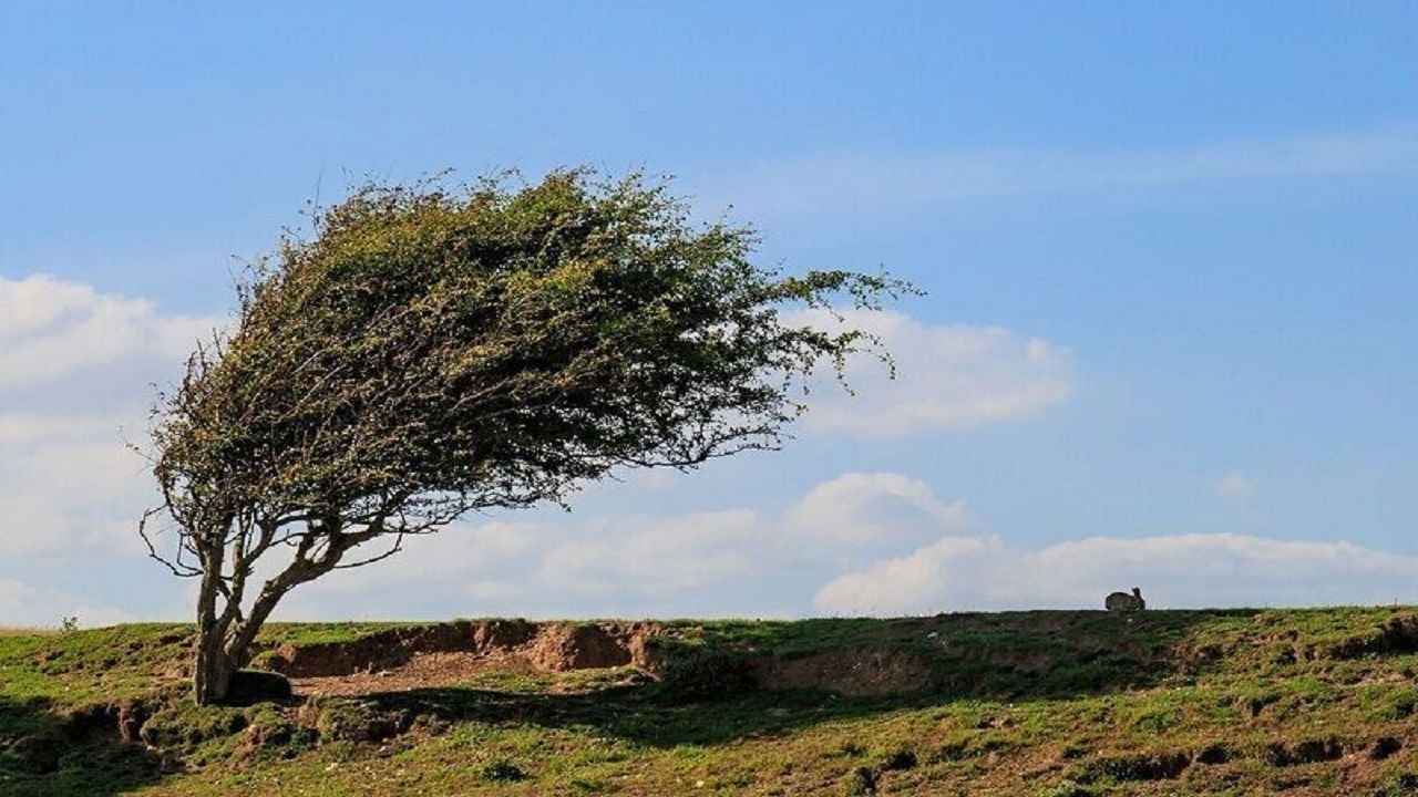 وزش باد ۷۰ کیلومتری و رعدوبرق در راه البرز