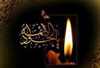 سالروز غربت جوان‌ترین چراغ هدایت