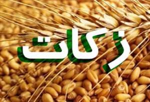 پرداخت ۱۷۰ میلیارد تومان زکات در مازندران پرداخت ۱۷۰ میلیارد تومان زکات در مازندران
