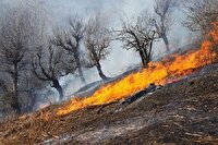 ثبت ۱۱۶ فقره آتش‌سوزی در مراتع استان زنجان