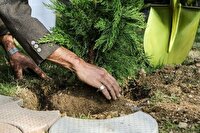 کاشت نهال امید در شهرک‌های صنعتی خراسان رضوی
