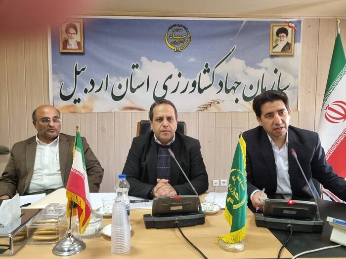کاهش ۶۰ درصدی کشت زیرنایلونی در اردبیل