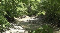 تابلوی زیبای بهاری پارک جنگلی ناهارخوران گرگان