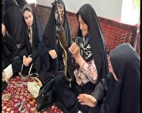 بانوان شیروانی مدافعان استوار میهن