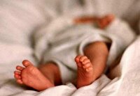 ۱۱۲ جنین نجات یافته؛ ثمره حمایت‌های مرکز نفس  بردسکن