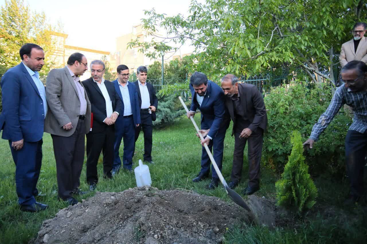 کاشت نهال به مناسبت گرامیداشت هفته روابط عمومی در همدان کاشت نهال به مناسبت گرامیداشت هفته روابط عمومی در همدان