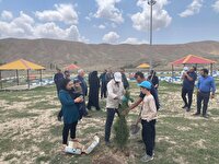 پویش «درخت به نام فرزند» برای نوزادان متولد سال ۱۴۰۴ فیروزکوه برگزار شد