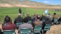 افزایش تولید در مزارع با آشنایی کشاورزان مهابادی با دانش نوین کشاورزی