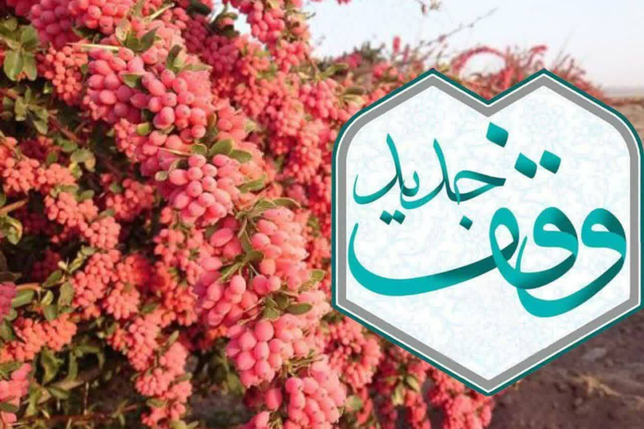 وقف یک ساعت آب و باغ زرشک در شهرستان قائنات