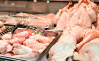 اجرای طرح تولید قراردادی گوشت مرغ در استان زنجان