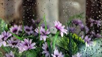 پیش بینی هفته ای بارانی در زنجان