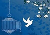 آزادی ۲۰ زندانی جرائم غیر عمد در همدان