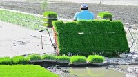 آماده‌سازی ۸۶۷ هکتار شالیزار دودانگه برای فصل کشت