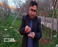 اتحاد کردستانی‌ها برای دفاع از خاک میهن