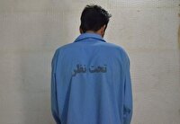 دستگیری فروشنده سکه‌های تقلبی در فراهان