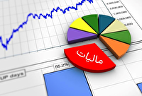اختصاص ۳۰۰ میلیارد ریال به حوزه ورزش و جوانان خراسان جنوبی از محل مالیات بر ارزش افزوده