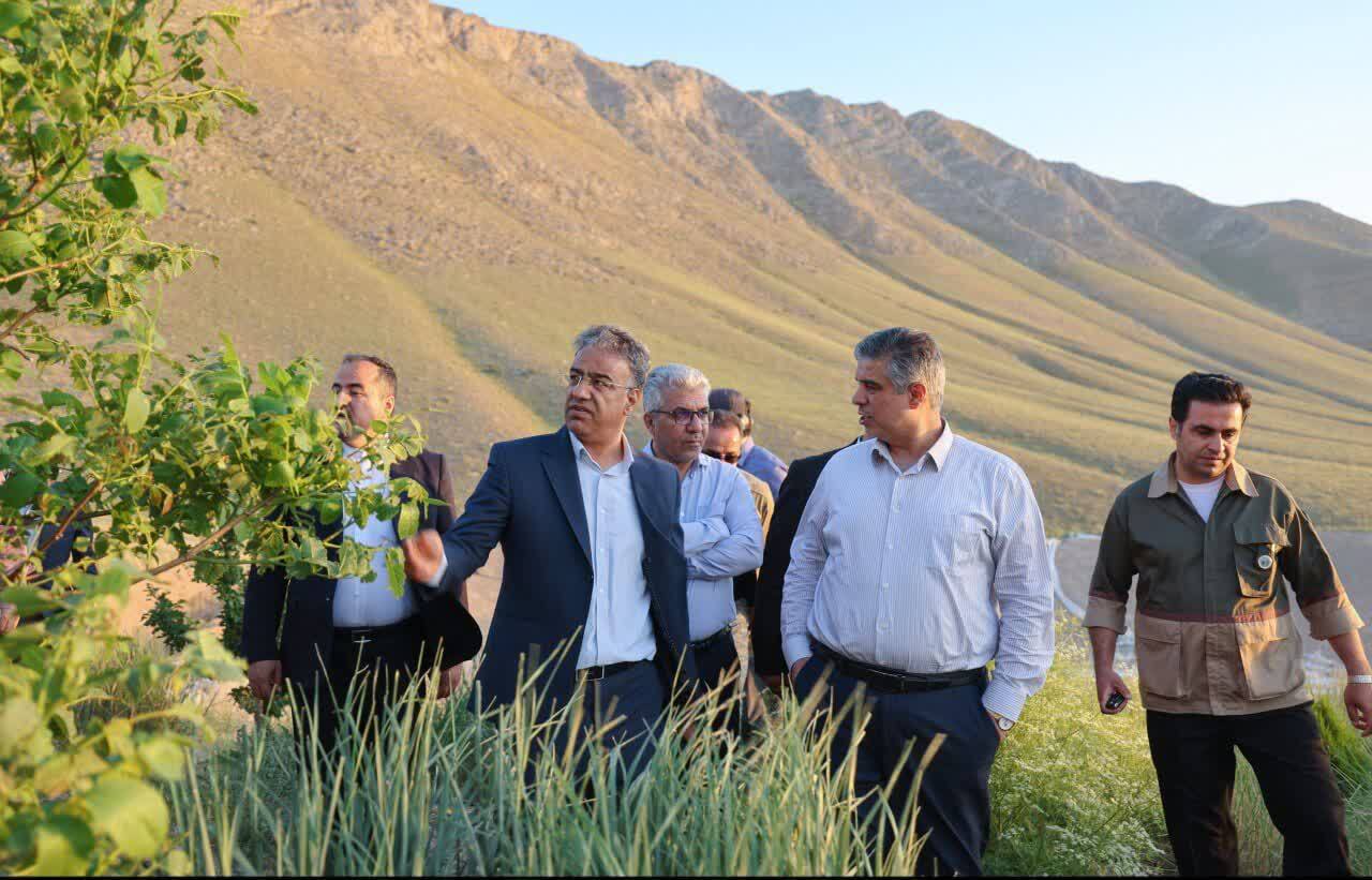 تأمین آب درختان منطقه جنگل‌کاری چپقلی اراک