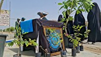 کاشت ۱۶۸ اصله نهال به یاد ۱۶۸ دانش آموز شهید میناب