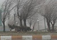 تداوم وزش باد به‌نسبت شدید در استان یزد