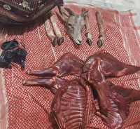 دستگیری دو متخلف شکار و صید در منطقه حفاظت شده بهادران