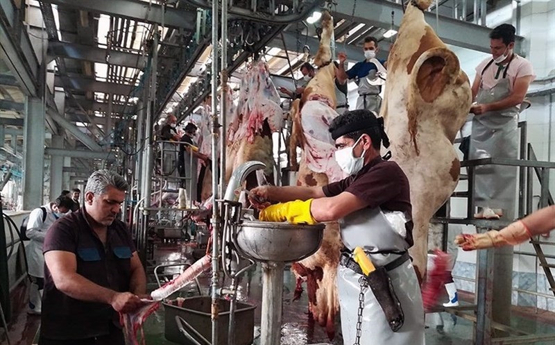 نظارت دامپزشکی بر کشتارگاههای دام و طیور خوزستان نظارت دامپزشکی بر کشتارگاههای دام و طیور خوزستان