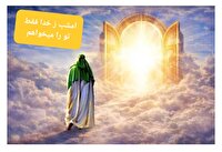 برگرد‌ ای توسل شب‌زنده‌دارها!
