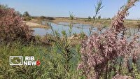 احیای تالاب‌های قره‌قشلاق و قوریگل آذربایجان شرقی