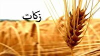 افزایش ۴۰ درصدی پرداخت زکات در سراب