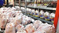 فروکش کردن هیجان بازار مرغ در آذربایجان غربی؛ قیمت‌ها به زیر ۲۵۰ هزار تومان رسید