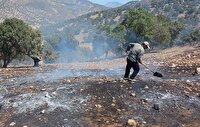 مهار آتش سوزی منطقه حفاظت شده دیل گچساران