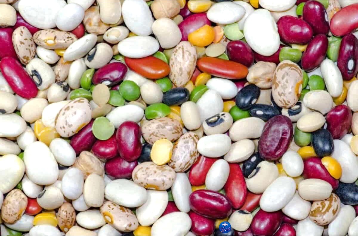 یک فنجان حبوبات و کاهش ۱۶ درصدی خطر ابتلا به فشار خون بالا