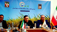 اشتیاق عجیب خریداران خارجی به برنج ایرانی 