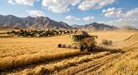 آغاز برداشت مکانیزه جو در شهرستان میامی
