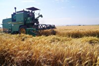آغاز برداشت ۷۰ هزار تن غله و تخریب ۴۰۰ بنای غیرمجاز در شهرری