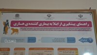 بروز ۱۵۰ مورد حیوان گزیدگی در شهرستان دامغان