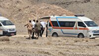 هفتمین مانور اطفای حریق استان یزد در شهرستان بافق
