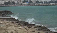 پیش‌بینی وزش باد و گرما برای بوشهر