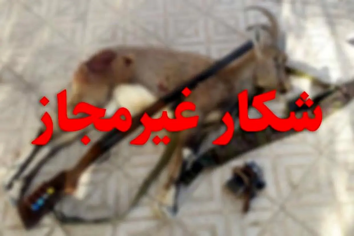 دستگیری متخلف شکار و صید در حاجی آباد هرمزگان دستگیری متخلف شکار و صید در حاجی آباد هرمزگان