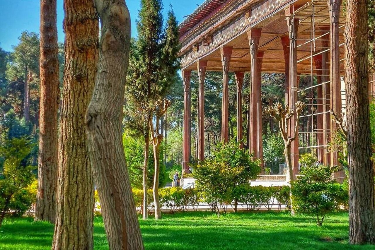 حفاظت ویژه از درختان ۴۰۰ ساله