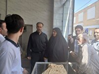 مهرو موم سه نانوایی متخلف در قرچک در پی بازدید گشت مشترک نظارتی