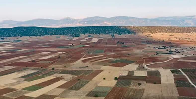 ساماندهی ۳۶ هزار هکتار اراضی استان فارس با قانون رفع تداخلات
