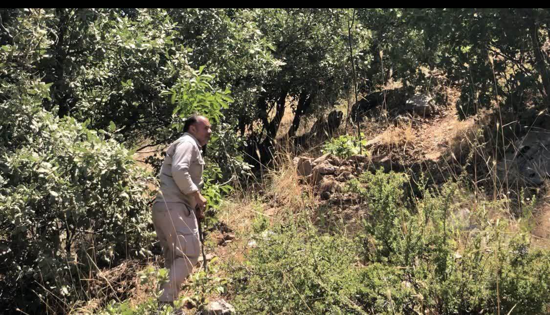 آزاد سازی پنج هکتار زمین ملی در کهمان لرستان آزاد سازی پنج هکتار زمین ملی در کهمان لرستان
