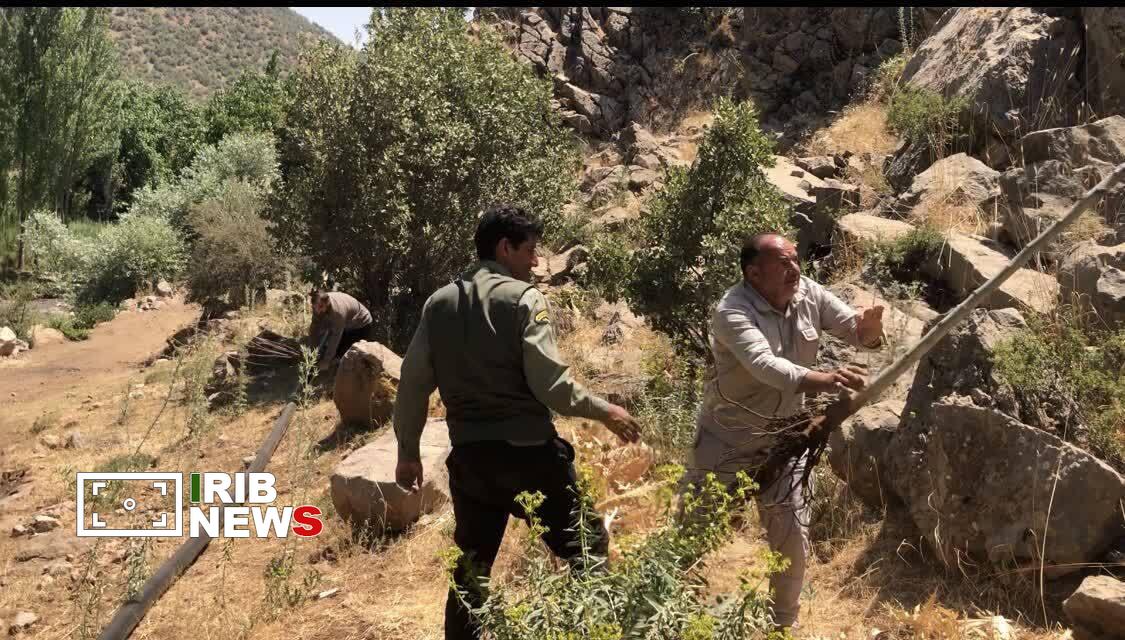 خارج شدن ۵ هکتار از اراضی کهمان سلسله از چنگ متصرفان خارج شدن ۵ هکتار از اراضی کهمان سلسله از چنگ متصرفان