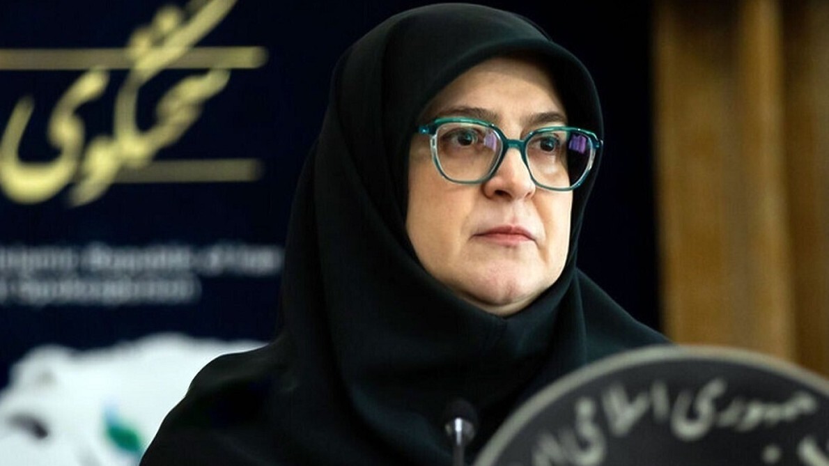سخنگوی دولت: جنوب، قلب تپنده و جان ایران است سخنگوی دولت: جنوب، قلب تپنده و جان ایران است