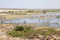 فعالیت مجدد کانون گردوغبار البرز