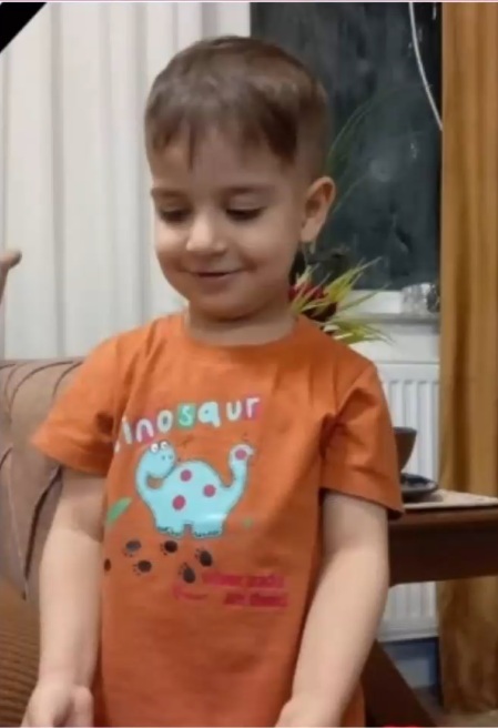 فوت کودک سنندجی بر اثر حمله سگ‌های بلاصاحب