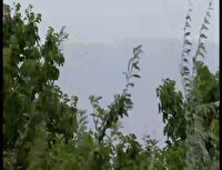لذت خنکای تابستان در خراسان شمالی
