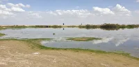 رفع گردوغبار تهران و کرج با احیای تالاب صالحیه